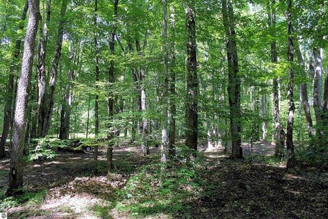Tiny photo for 00 NE Chwastek Road, Kalkaska, MI 49646 (MLS # 1933508)