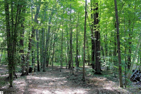 Tiny photo for 00 NE Chwastek Road, Kalkaska, MI 49646 (MLS # 1933508)