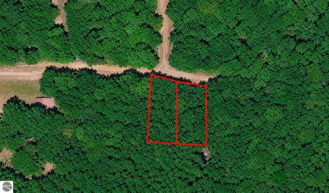 Tiny photo for 00 NE Chwastek Road, Kalkaska, MI 49646 (MLS # 1933508)