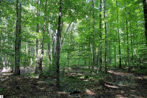 Tiny photo for 00 NE Chwastek Road, Kalkaska, MI 49646 (MLS # 1933508)