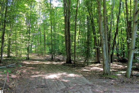 Tiny photo for 00 NE Chwastek Road, Kalkaska, MI 49646 (MLS # 1933508)