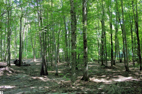 Tiny photo for 00 NE Chwastek Road, Kalkaska, MI 49646 (MLS # 1933508)