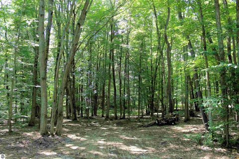 Tiny photo for 00 NE Chwastek Road, Kalkaska, MI 49646 (MLS # 1933508)