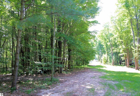 Tiny photo for 00 NE Chwastek Road, Kalkaska, MI 49646 (MLS # 1933508)