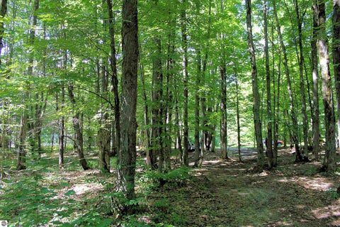 Tiny photo for 00 NE Chwastek Road, Kalkaska, MI 49646 (MLS # 1933508)