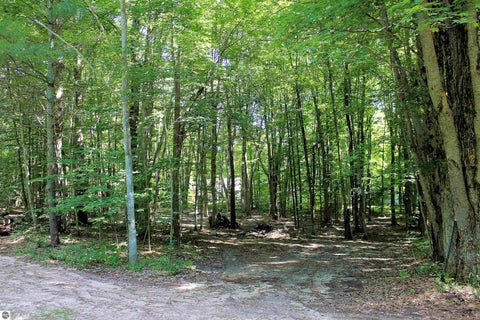 Tiny photo for 00 NE Chwastek Road, Kalkaska, MI 49646 (MLS # 1933508)