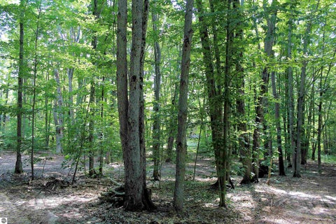 Tiny photo for 00 NE Chwastek Road, Kalkaska, MI 49646 (MLS # 1933508)