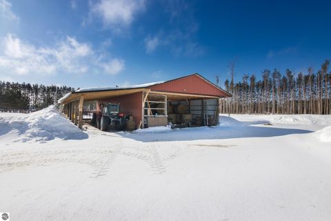 Tiny photo for 7387 Alba Highway, Elmira, MI 49730 (MLS # 1942424)