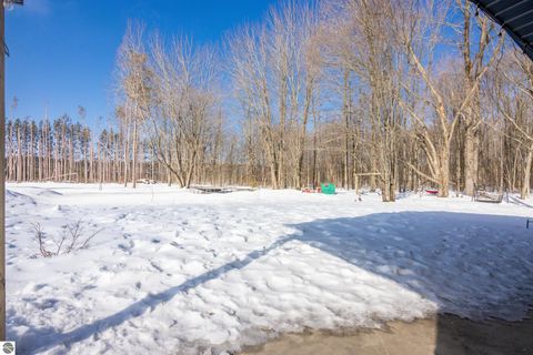 Tiny photo for 7387 Alba Highway, Elmira, MI 49730 (MLS # 1942424)