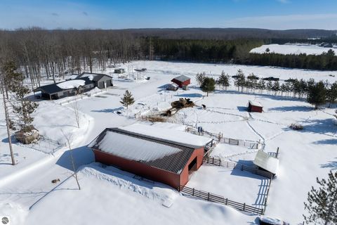 Tiny photo for 7387 Alba Highway, Elmira, MI 49730 (MLS # 1942424)