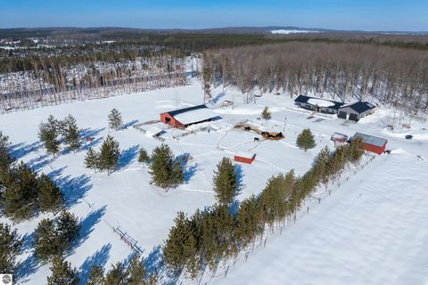 Tiny photo for 7387 Alba Highway, Elmira, MI 49730 (MLS # 1942424)