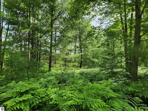 Tiny photo for 5446 Blue Lake Road, Ne RD, Kalkaska, MI 49646 (MLS # 1946809)