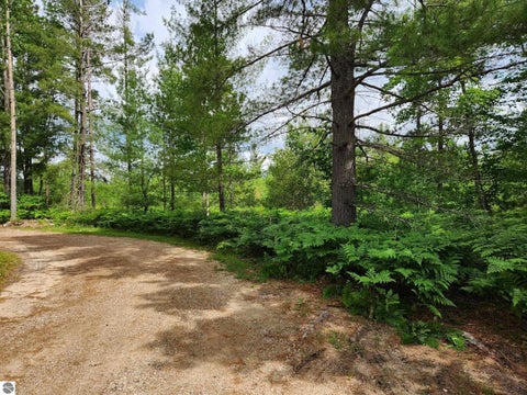 Tiny photo for 5446 Blue Lake Road, Ne RD, Kalkaska, MI 49646 (MLS # 1946809)
