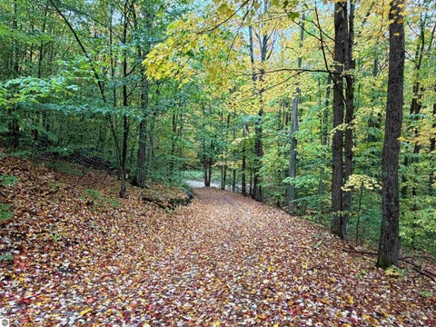 Tiny photo for 2241 Heartwood Drive, East Jordan, MI 49727 (MLS # 1951645)