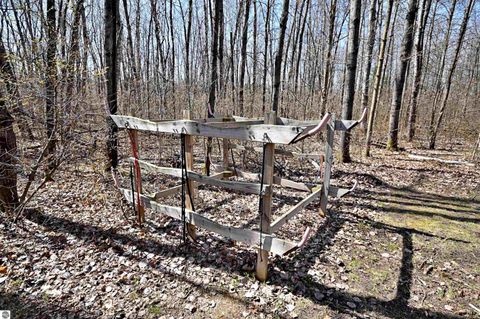 Tiny photo for 11385 Stockwell, Marion, MI 49665 (MLS # 1944288)