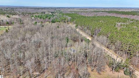 Tiny photo for 11385 Stockwell, Marion, MI 49665 (MLS # 1944288)