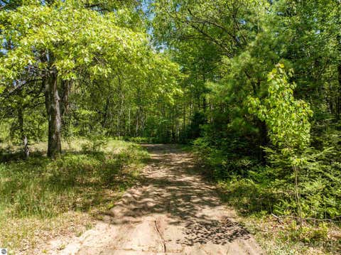 Tiny photo for 2022 N Clear Lake Road, West Branch, MI 48661 (MLS # 1946170)