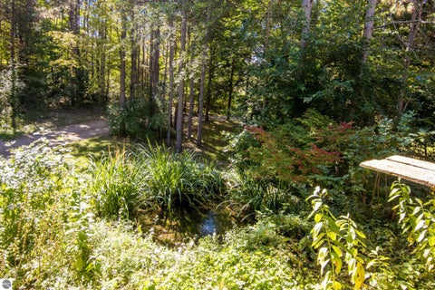 Tiny photo for 8456 Elk Lake Road, Williamsburg, MI 49690 (MLS # 1951473)