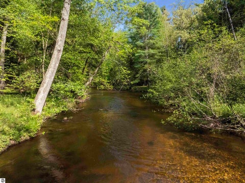Tiny photo for 8088 N Roberts Road, Irons, MI 49644 (MLS # 1946132)