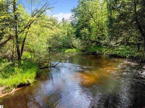 Tiny photo for 8088 N Roberts Road, Irons, MI 49644 (MLS # 1946132)