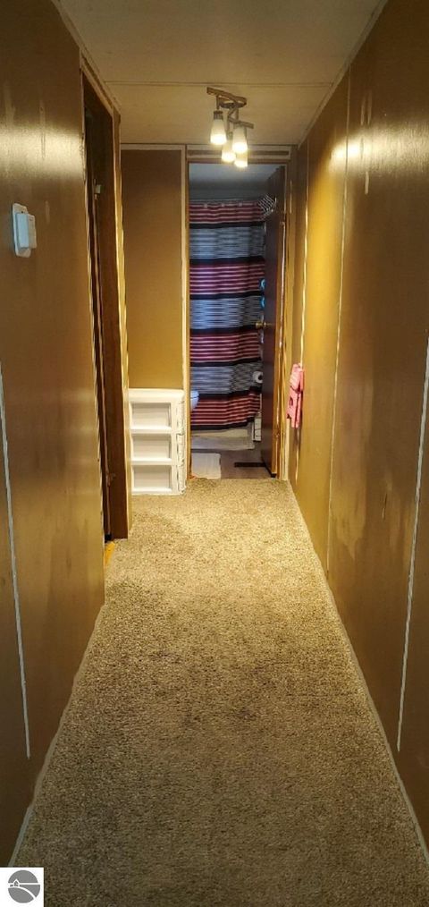 Tiny photo for 203 Fairview Blvd, Farwell, MI 48622 (MLS # 1943104)