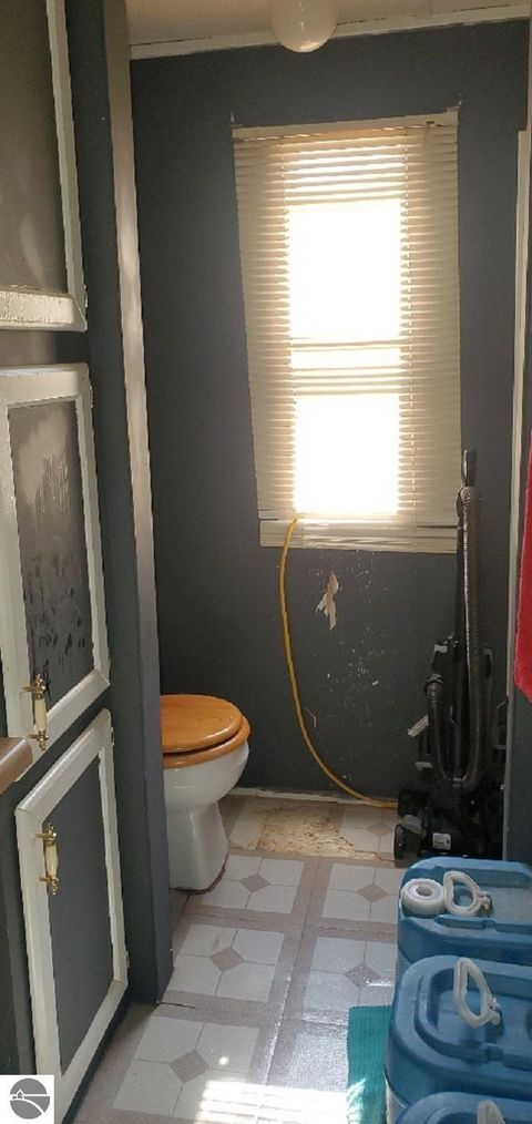 Tiny photo for 203 Fairview Blvd, Farwell, MI 48622 (MLS # 1943104)