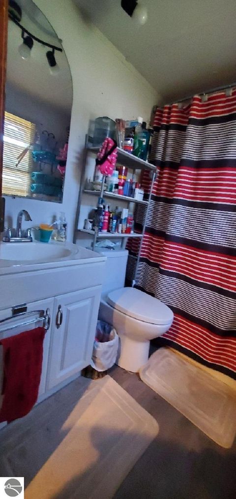 Tiny photo for 203 Fairview Blvd, Farwell, MI 48622 (MLS # 1943104)