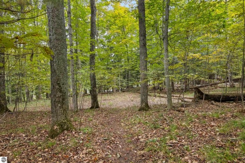 Tiny photo for 16568 Wagner Road, Lake Ann, MI 49650 (MLS # 1951157)