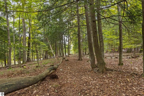 Tiny photo for 16568 Wagner Road, Lake Ann, MI 49650 (MLS # 1951157)