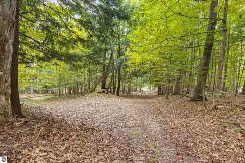 Tiny photo for 16568 Wagner Road, Lake Ann, MI 49650 (MLS # 1951157)