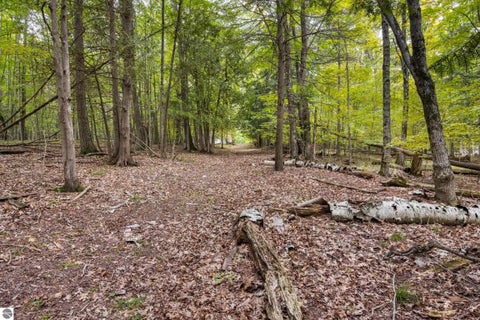Tiny photo for 16568 Wagner Road, Lake Ann, MI 49650 (MLS # 1951157)