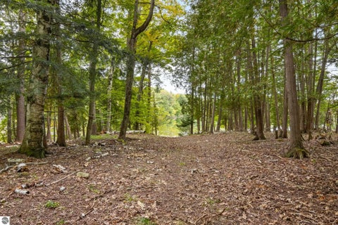 Tiny photo for 16568 Wagner Road, Lake Ann, MI 49650 (MLS # 1951157)