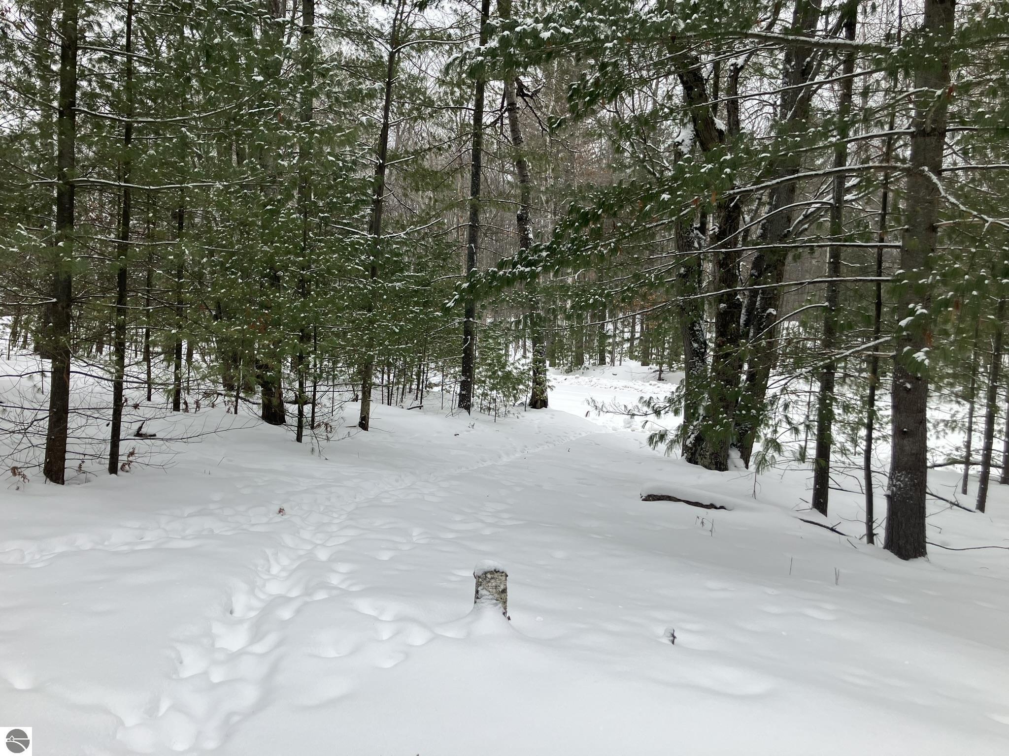 Photo 1 of 8 — VL Wilderness Circle, Alger, MI 48610