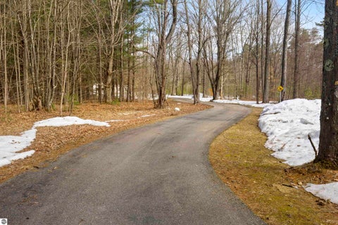 Tiny photo for 14500 Homestead Road, Beulah, MI 49617 (MLS # 1943608)