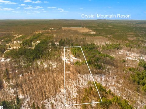 Tiny photo for 14500 Homestead Road, Beulah, MI 49617 (MLS # 1943608)