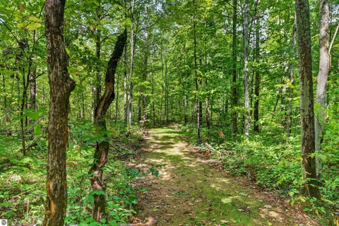 Tiny photo for 3509 North Point Drive, Gaylord, MI 49735 (MLS # 1950389)