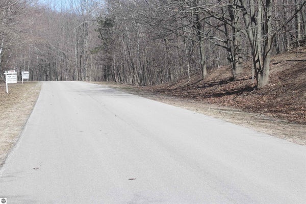 LOT 19 CRYSTAL VIEW COMMONS, BEULAH, MI 49617 - Image 0c7a4c9470f2f78da2220fc58fac2cc2/778417002