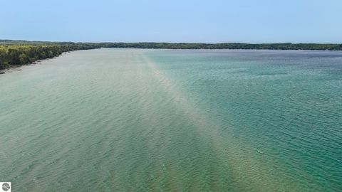 Tiny photo for 5882 Crystal Beach Road, Rapid City, MI 49676 (MLS # 1943246)