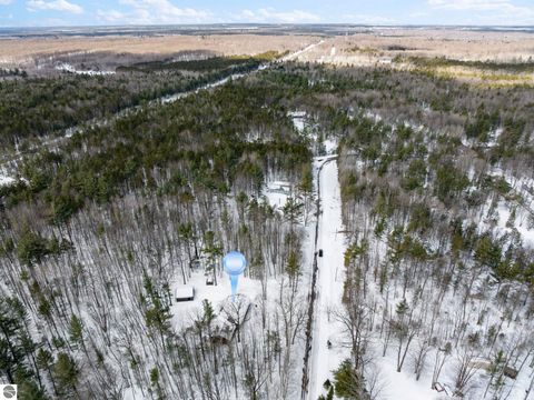 Tiny photo for 10852 NE Black Bear Road, Kalkaska, MI 49646 (MLS # 1943523)