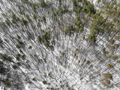 Tiny photo for 10852 NE Black Bear Road, Kalkaska, MI 49646 (MLS # 1943523)