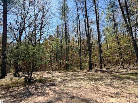 Tiny photo for 10852 NE Black Bear Road, Kalkaska, MI 49646 (MLS # 1943523)