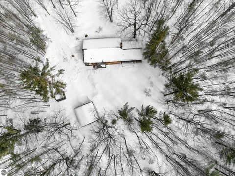 Tiny photo for 10852 NE Black Bear Road, Kalkaska, MI 49646 (MLS # 1943523)