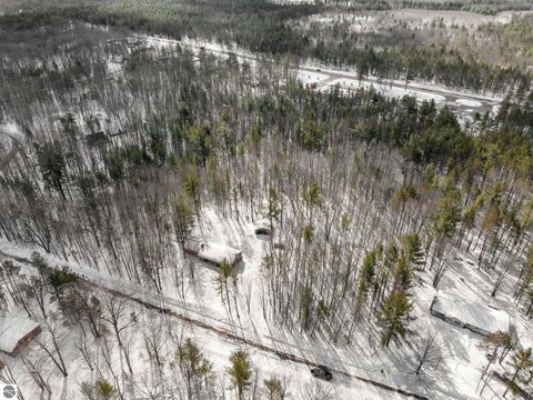 Tiny photo for 10852 NE Black Bear Road, Kalkaska, MI 49646 (MLS # 1943523)