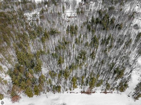Tiny photo for 10852 NE Black Bear Road, Kalkaska, MI 49646 (MLS # 1943523)