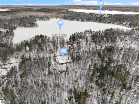 Tiny photo for 10852 NE Black Bear Road, Kalkaska, MI 49646 (MLS # 1943523)