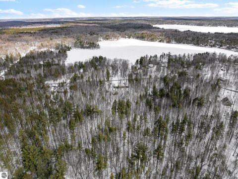 Tiny photo for 10852 NE Black Bear Road, Kalkaska, MI 49646 (MLS # 1943523)