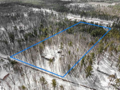 Tiny photo for 10852 NE Black Bear Road, Kalkaska, MI 49646 (MLS # 1943523)