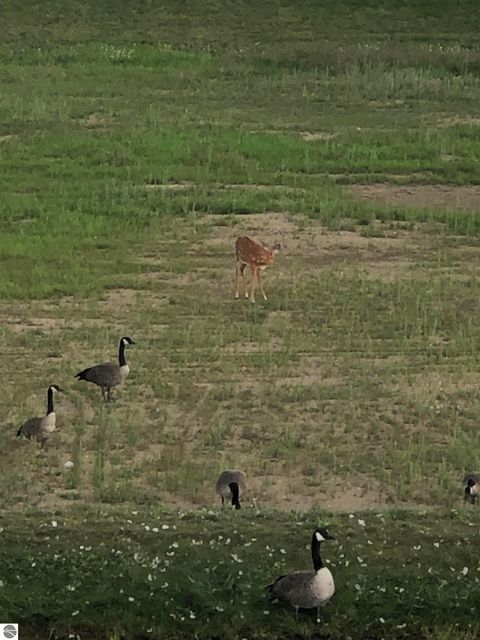 Tiny photo for 5102 Sheffer Farm Road, Traverse City, MI 49685 (MLS # 1941783)