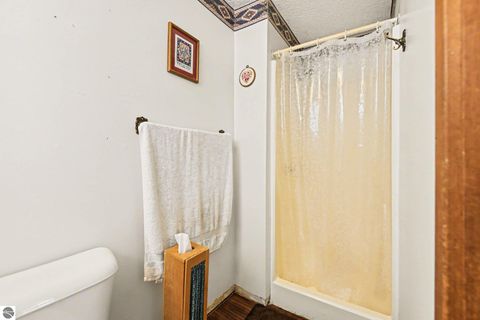 Tiny photo for 111 W Forest Home Avenue, Bellaire, MI 49615 (MLS # 1942559)