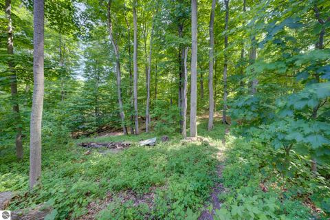 Tiny photo for 12166 E Old Orchard Trail, Suttons Bay, MI 49682 (MLS # 1946369)